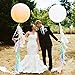 Since Tassel Garland, Tissue Paper Tassels for Wedding, Baby Shower and Party Decorations, 20 pcs DIY Kits - (White,Lavender,Dark Purple,Pink)