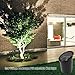 Lumina Lighting 12V Low Voltage Landscape Lighting PVC Adjustable Black Well Light for Yard,Garden,Lawn,Flower Bed or Tree Inground Light with Glass Cover Without Bulb WIL0104-2 (2-PK
