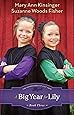 Big Year for Lily (The Adventures of Lily Lapp)