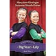 A Big Year for Lily (The Adventures of Lily Lapp)