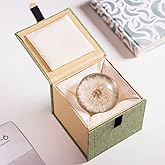 DESHINTKE Real Dandelion Specimen Ball Paperweight Desktop Decor Decoration (Small)