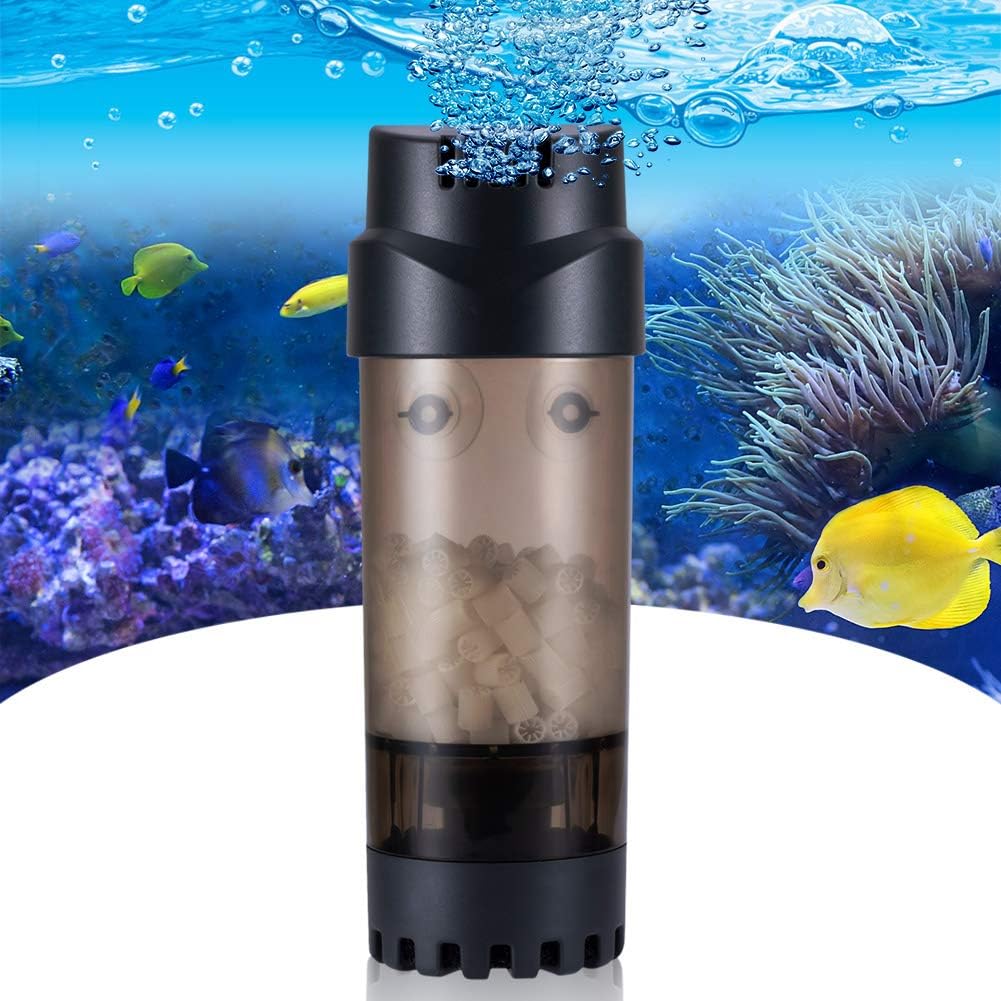 aquarium supplies store near me