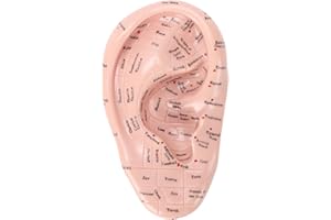 Ymiko Acupuncture Points Ear Massage Model 17cm PVC Ear Zone Reflexology Model for Teaching and Learning in Beauty Salons and