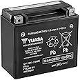 Yuasa YUAM62RBH YTX20H-BS Battery, Multicolor, One Size
