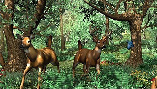 3 Sure+Shot+Buck+Hunter+Special+Android