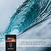 Biblical Creationism: What Each Book of the Bible Teaches About Creation & the Flood