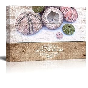 Marine Theme Beautiful Sea Urchin Wall Decor