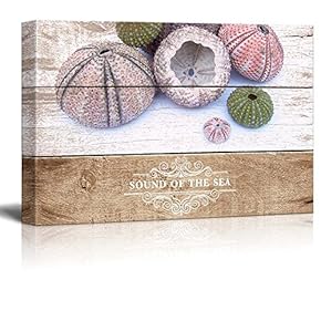 Marine Theme Canvas Wall Art - Beautiful Sea Urchin - Giclee Print Modern Wall Art | Stretched Gallery Wrap Ready to Hang Home Decoration - 12x18 inches