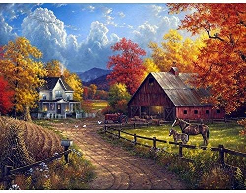 DIY 5D Diamond Painting by Number Kit for Adult, Full Drill Diamond Embroidery Dotz Kit Home Wall Decor-15.7x11.8" (Village Farm)
