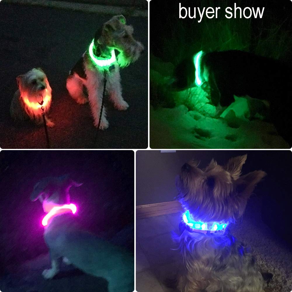 Illumifun Led Dog Collar, USB Rechargeable TPU Cuttable Light Up Collar Make Your Dogs Seen & Safe in the Dark (Ruby Red)