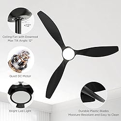 Roomratv Ceiling Fans with Lights, 52 Inch Ceiling