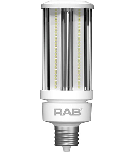 Amazon.com: RAB Lighting HID-115-V-EX39-850-BYP-HB-G2 Outdoor