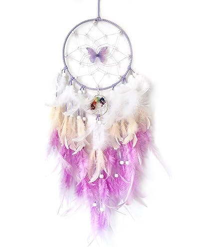 Amazon.com: SOYUZU Purple Dream Catcher Feather Dream