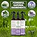 TreeActiv Natural Linen Spray, Kills Acne Causing Bacteria, Eliminates Odors, Fabric, Bedding, Clothing, Carpet & Furniture Refresher, (8 fl oz) (Lavender)