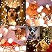 PLAYBULB Extension Pack String Lights, Water Resistant Color Changing Smart LED Festival Rope Fairy Lights for Indoor and Outdoor Christmas Decorations