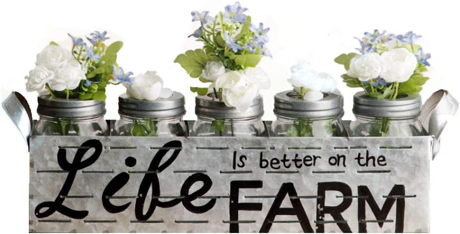 Emenest Vases for Flowers Set - Steel Metal Rack Stand | Window-Sill Display Set of 5 Crystal Clear Floral Hollow Cap Jars | Decorative Ornamental Elegant Masterpiece for Home