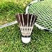 Badminton Shuttlecocks 6-Pack Nylon Shuttlecocks Birdies Balls High Speed Badminton Balls with Great Durability Stability Suitable for Indoor Outdoor Sports Training Tube of 6… (Black(pack of 12))