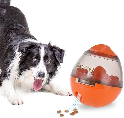 feeding toys for dogs