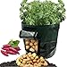 BELMAKS 2 Pack 7 Gallon Garden Potato Grow Bag Vegetables Planter Bag with Access Flap for Potato Grow