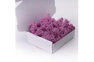 ACADOIT Preserved Moss-3.5 OZ Moss for Crafts Faux Moss Decor Natural Green Moss for Art Wall Florist Decor, Fairy Gardens, Wedding, Floral Project(Purple 3.5 OZ)