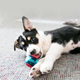 KONG Squeezz Action Ball Red Multi Textured Squeaker Medium Dog Toy view 4