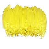 Lampu Natural Goose Feathers 15-20cm/6-8 inches