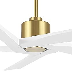 WINGBO 54 Inch DC Ceiling Fan without Lights, 5