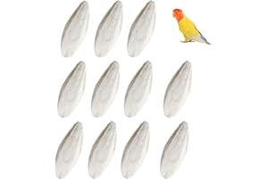 10Pcs Bird Cuttlebone Cuttlefish Bone, Bird Cage Food Cuttle Bone, Parakeet Chew Toy Calcium Stone for Birds Parrots Cockatie
