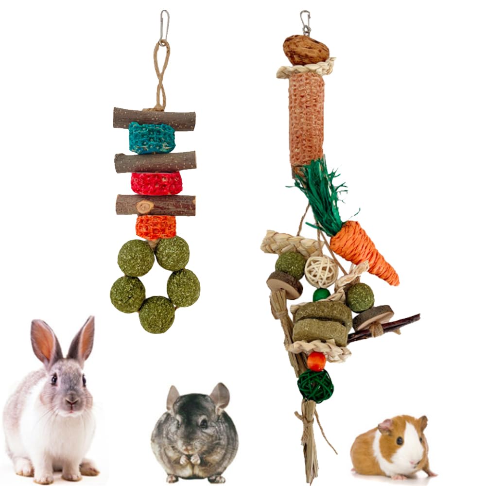 Aisamco Bunny Chew Toys,2 Pack Rabbits Cage Hanging Chew Toys and Treats for Bunny Guinea Pigs Chinchillas Hamsters Rats and Other Small Pets Teeth Grinding