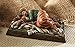 Elysian Gift Shop Sleeping Saint Joseph 6