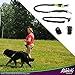Riddick’s Hands Free One & Two Dog Leashes for Running, Walking, Hiking, Training, Premium Dual-Handle 4ft Bungee Leash, Reflective Stitching, Adjustable Waist Belt,Accessories New for Two Dog Leash