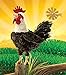 Folkmanis Rooster Hand Puppet