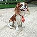 yagopet 10pcs/Pack Dog Christmas Ties Small Cat Dog Ties Xmas Puppy Dog Neckties Bow Ties Cat Dog Ties for Christmas Festival Dog Collar Dog Accessories