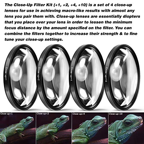 Canon EOS 90D DSLR Camera with EFS 1855mm f/3.55.6 is STM Lens & Preferred Accessory Bundle