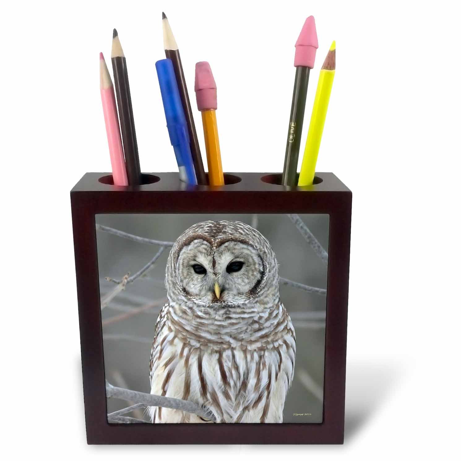 3dRose Barred Owl-Tile Pen Holder, 5-Inch (Ph_21195_1), Ceramic Wood, 5 Inch