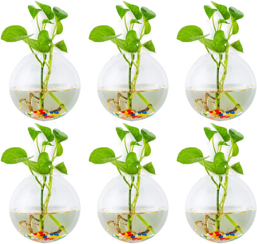 Glasseam Wall Hanging Glass Planters 6Pcs Spherical Shape Plant Pots Terrarium Container Vase with 6.36 OZ Colorful Stones Indoor Outdoor for Home Garden Office Wedding