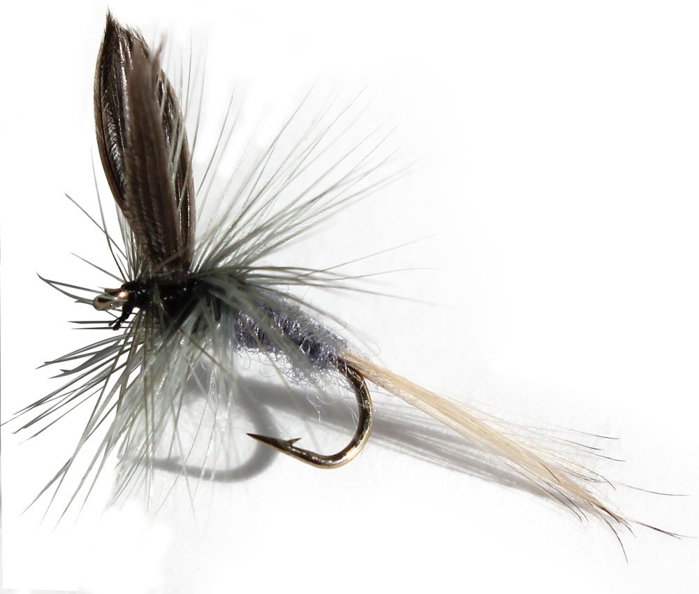 Flies Direct Blue Dun Assortment Trout Fishing Flies (1Dozen), Wet