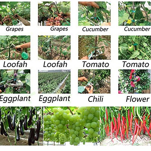 Blue Stones Anvil Machine garden Tools Tapetool Tapener Packing Vegetable's stem Strapping Cutter Grape Binding/10000 Pcs Nail