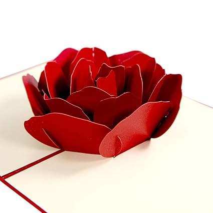 Heart Moon Pop Up Cards Love All Occasion Birthday Anniversary Thank You 3d Flowers Cards Wedding Valentines Day Greeting Cards For Kids Women