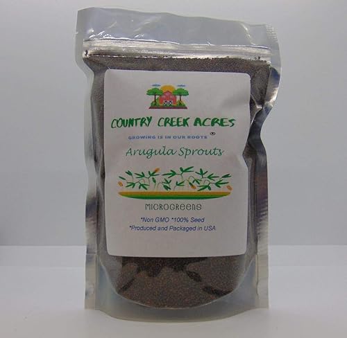 Arugula Seed, Arugula Sprouting Seeds, Microgreen, Sprouting, 10