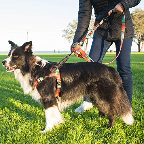 Leashboss No Pull Dog Harness, Easy Walk for Small, Medium, and Large Pets, Reflective with Rear