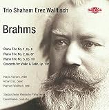 BRAHMS:WORKS FOR PIANO TRIO                        image