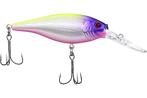 Berkley Flicker Shad Fishing Lure, Black Silver, 1/2 oz, 3 1/2in | 9cm Crankbaits, Size, Profile and Dive Depth Imitates Real Shad, Equipped with Fusion19 Hook