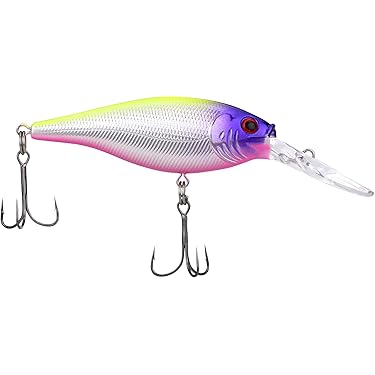 Amazon.com Most Wished For: Items customers added to Wish Lists and registries most often in Fishing Topwater Lures Amazon.com Most Wished For: Items customers added to Wish Lists and registries most often in Fishing Topwater Lures
