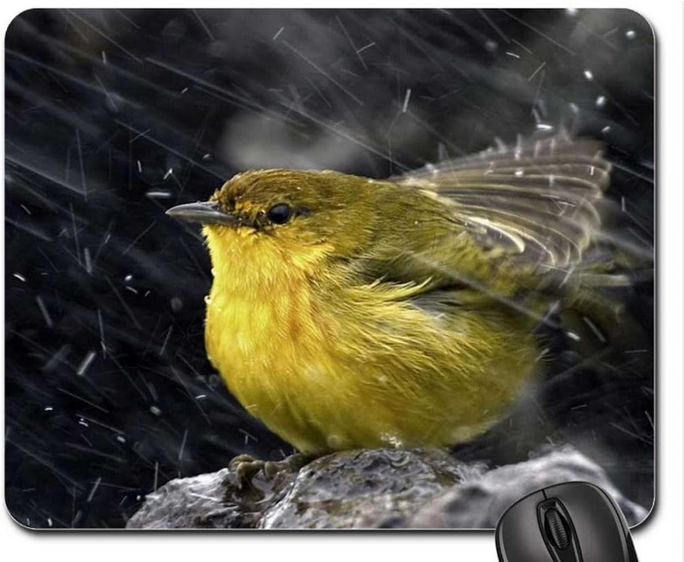 Oriolus Chinensis Mouse Pad, Mousepad (Birds Mouse Pad)