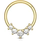 COCHARM Septum Ring Gold 16g Heart Septum Piercing Jewelry Clear CZ Daith Earrings Stainless Steel Daith Piercing Jewelry for Women Men