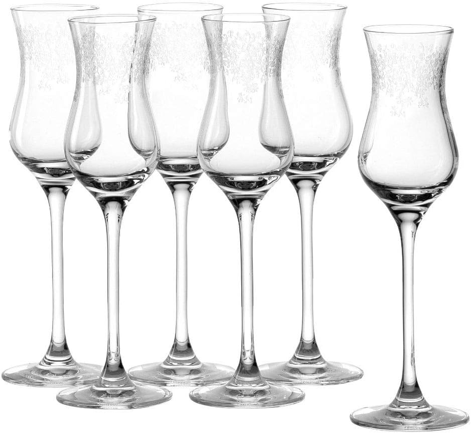 Leonardo Chateau Grappa-Glas, Schnaps-Glas mit gezogenem Stiel, spülmaschinenfeste Digestif-Gläser, 6er Set, 9 cl, 061594