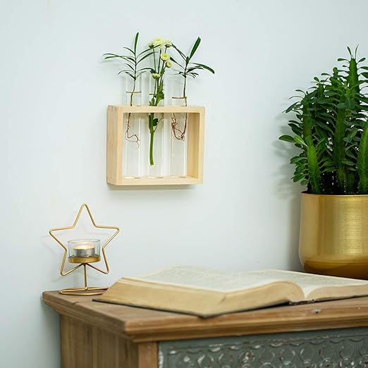 Tube A Essai De Station De Propagation De Jardiniere En Verre Avec Support De Support En Bois Vintage Vase Rond Pots De Fleurs Blanc Avec 3 Accessoires De Rebord De Fenetre De