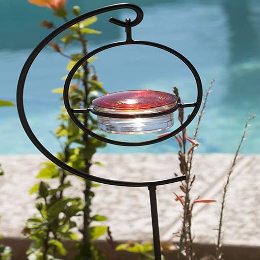 Amazon Com Best Hummingbird Feeder Stand Easy To Use Plants