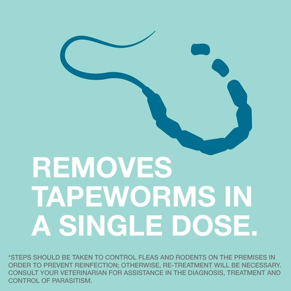 Bayer Tapeworm Dewormer (praziquantel tablets) for Cats, 3-Count Praziquantel Tablets for Cats and Kittens 6 Weeks and Older : Pet Supplies